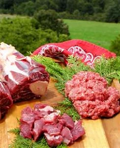 Ernährung